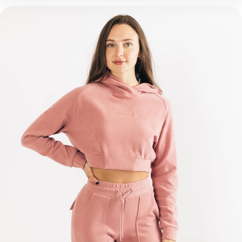Alphalete Identity Pro Crop Hoodie - New In Bag